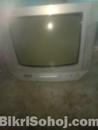 টিভি